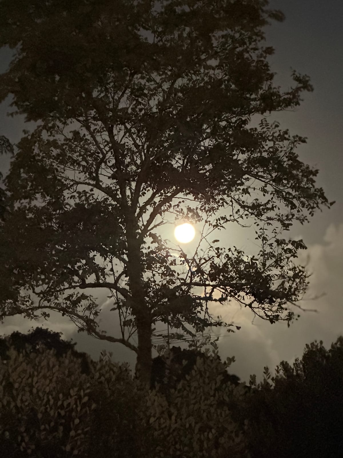 Auckland - The Beginning