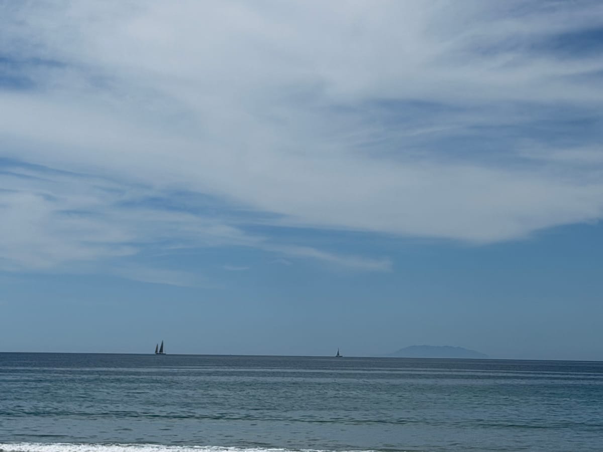 A few days on Waiheke Island