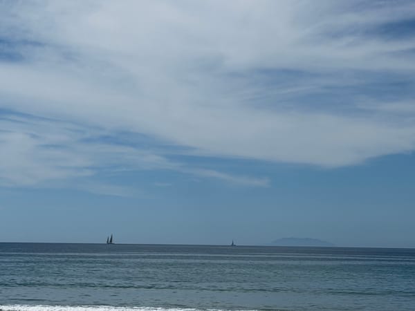 A few days on Waiheke Island